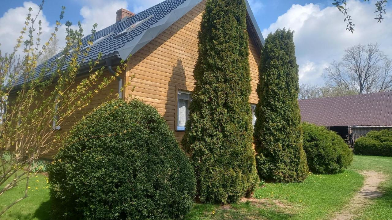Appartement Dom Do Wynajecia Bocianie Gniazdo à Augustów Extérieur photo
